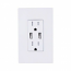 Lutron, Satin Color USB Tamper-Resistant Outlet, SCR-15-UBTR-BG