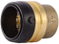 SharkBite, UXL0435, 1-1/4" Cap, M79819