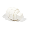 Charlotte, 3" PVC Cleanout Adapter with Cleanout Plug, 61194203241